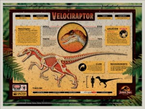 Velociraptor Dinosaur Print